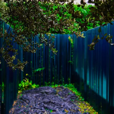 Les Cols Pavellons-2